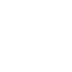 Professional Services